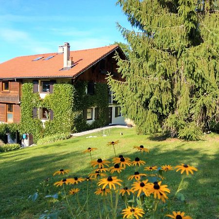 Bed and Breakfast Domaine De L'Olifant Champanges Exterior foto