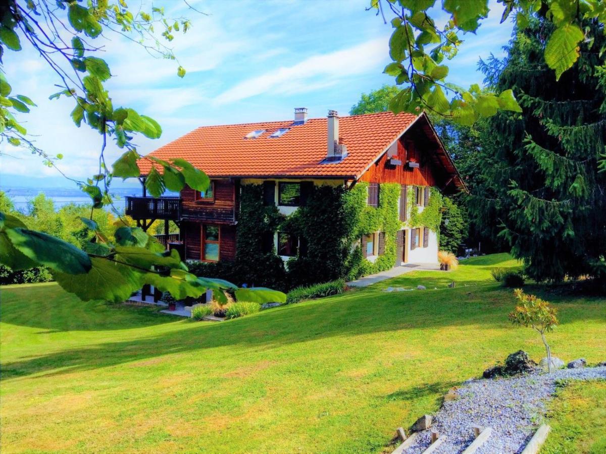 Bed and Breakfast Domaine De L'Olifant Champanges Exterior foto