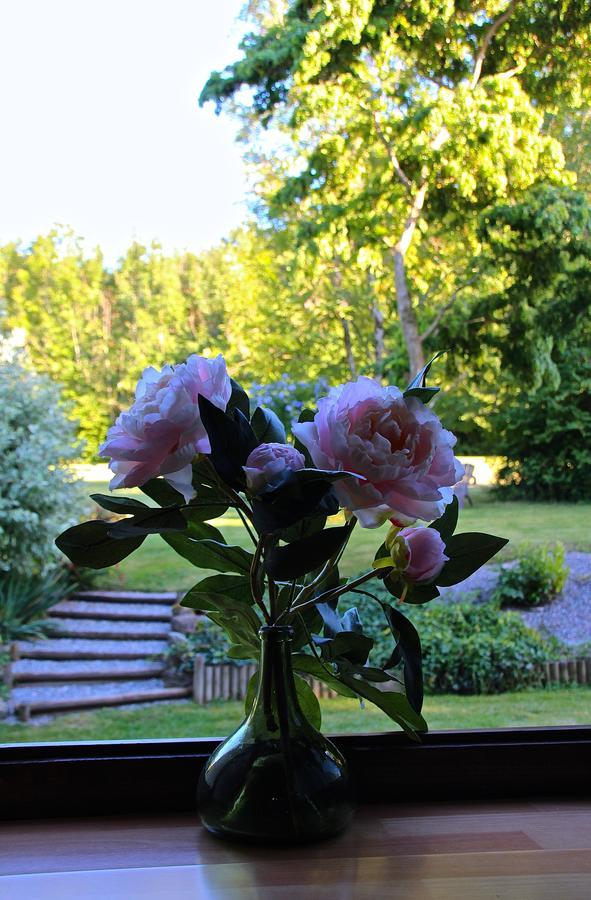Bed and Breakfast Domaine De L'Olifant Champanges Exterior foto
