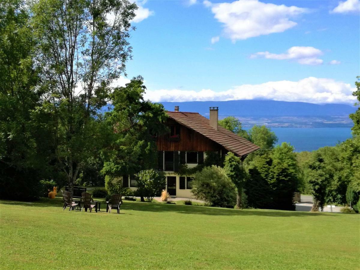 Bed and Breakfast Domaine De L'Olifant Champanges Exterior foto